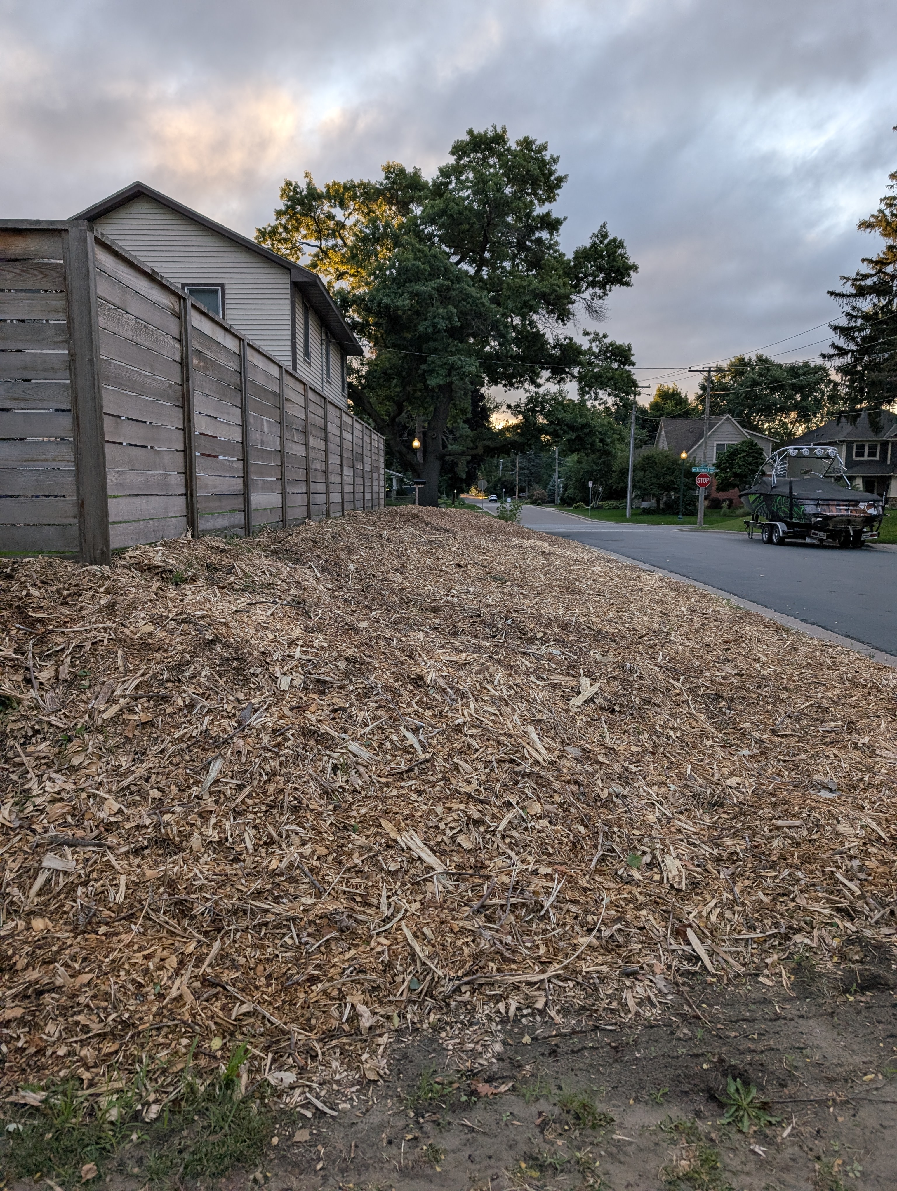 Photo of sideyard covered in wood chips