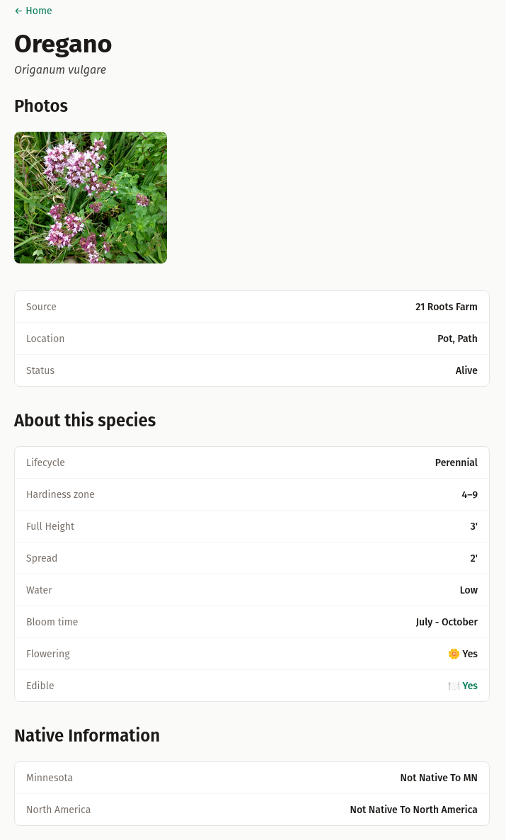 Oregano Overview