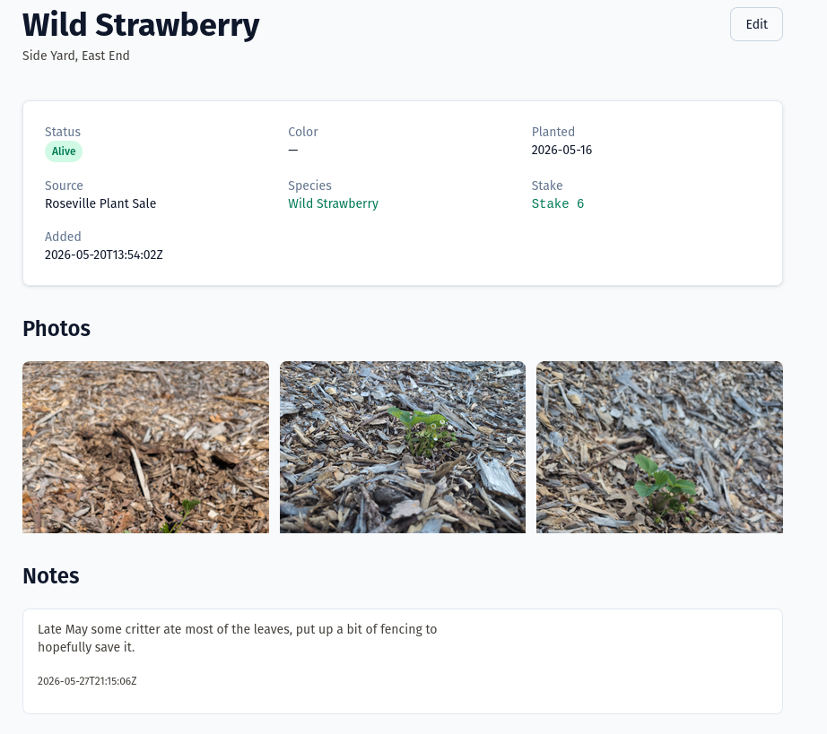 Strawberry Admin